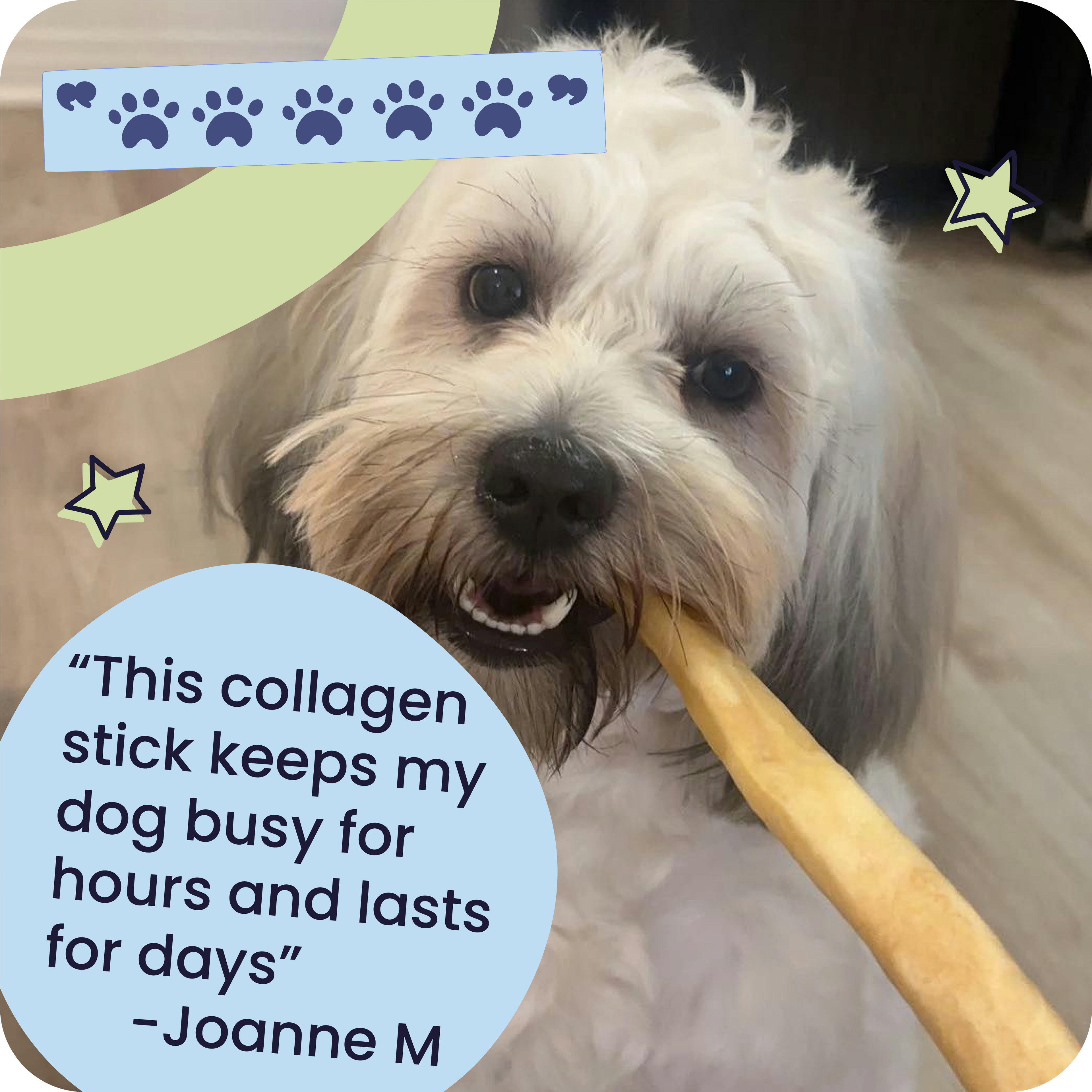 Beef Collagen Sticks