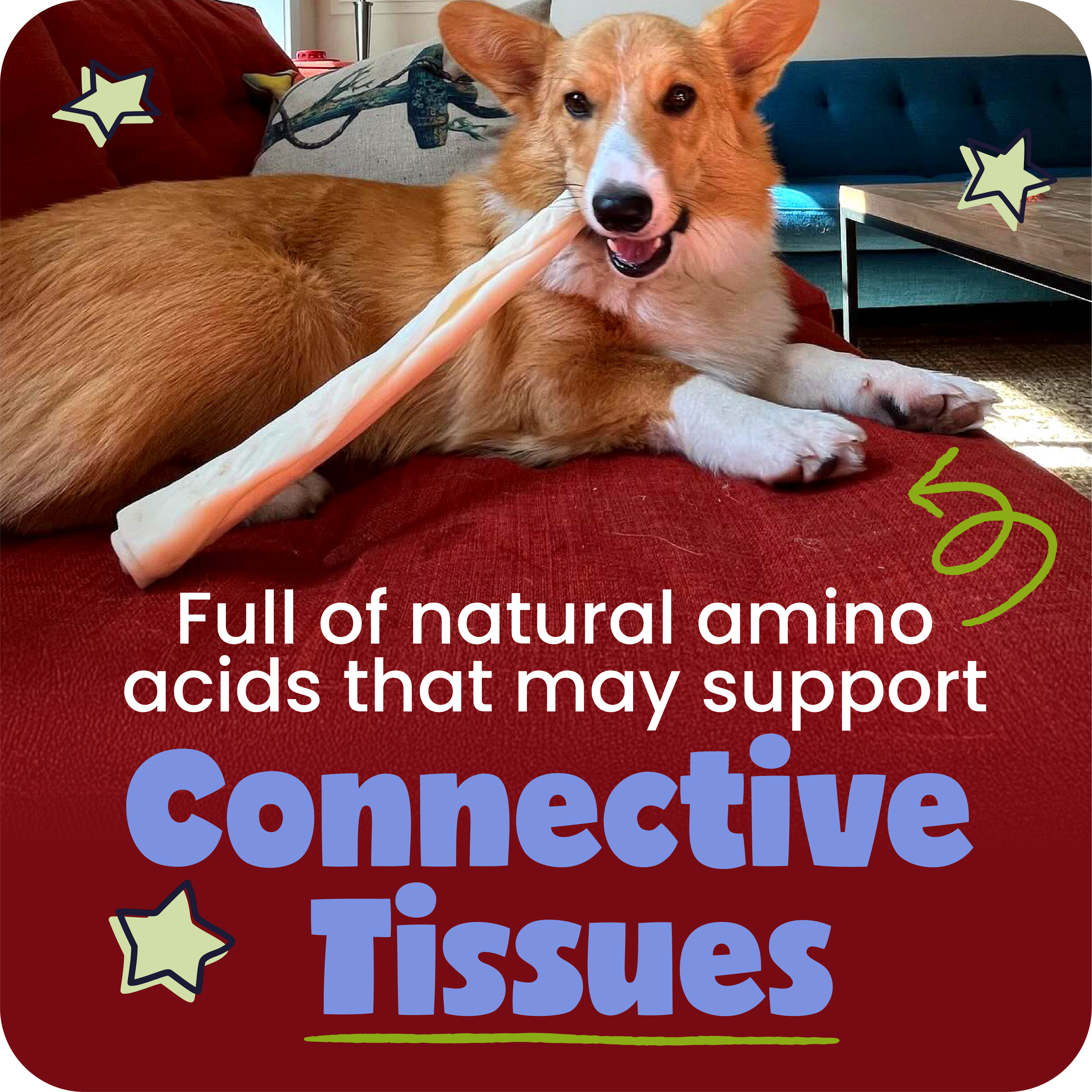 Beef Collagen Sticks
